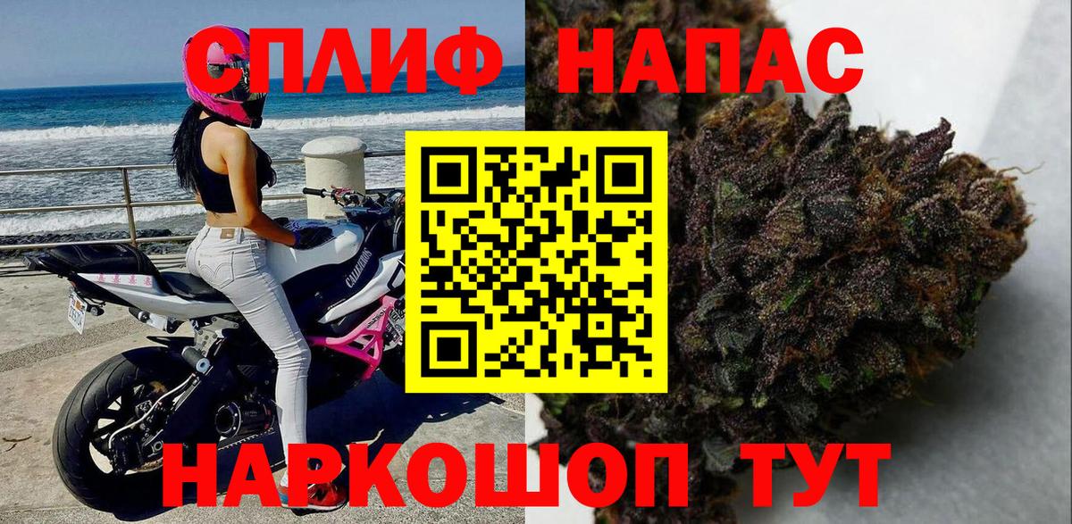 Канабис семена Саянск